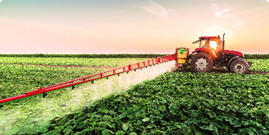 Agriculture field