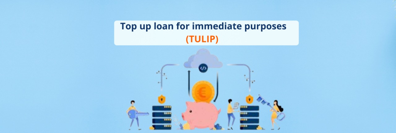 Top up loan for immediate purposes (TULIP) 